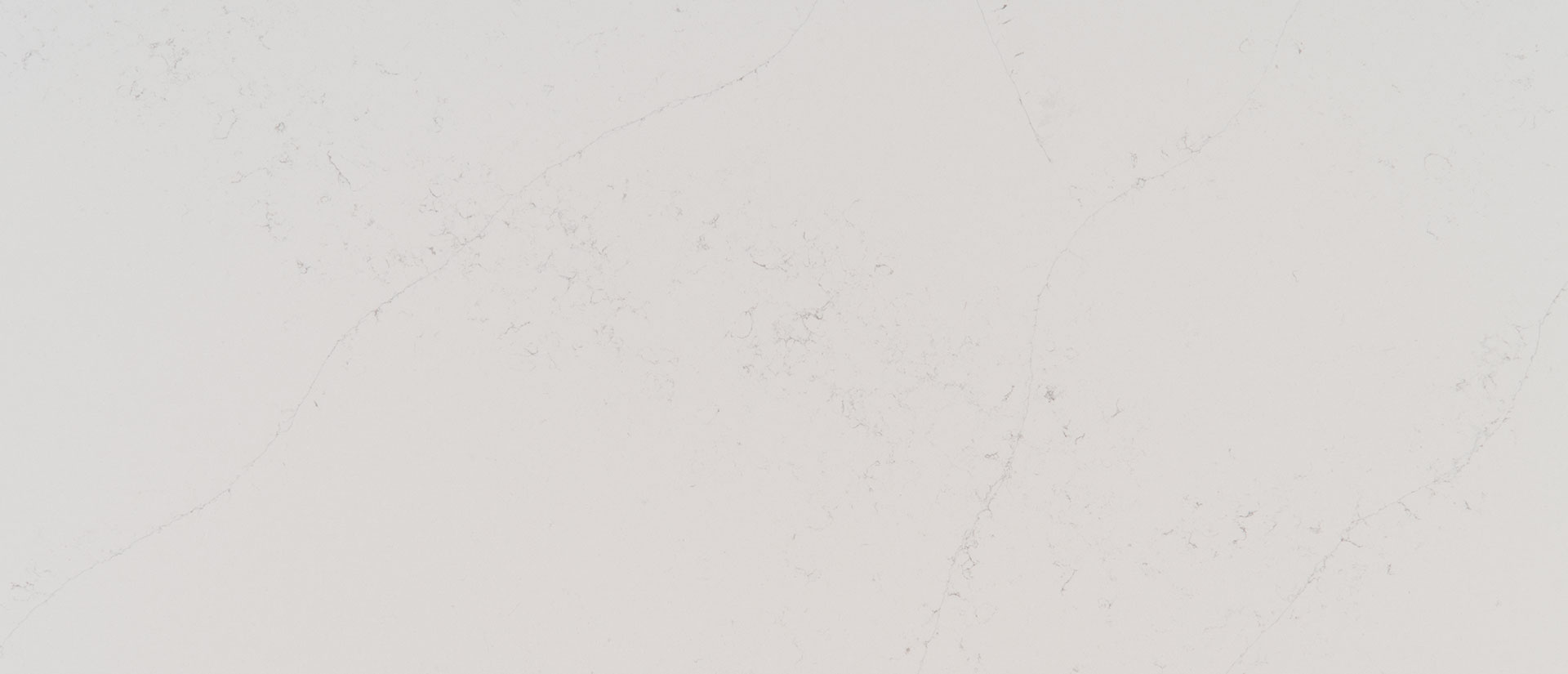 Calacatta Botanica Quartz
