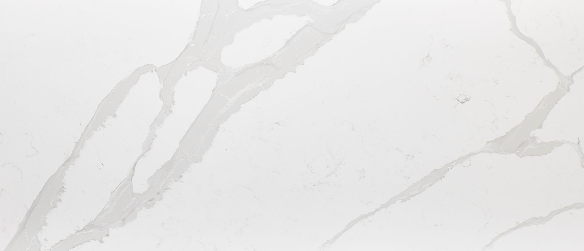 Calacatta Luccia Quartz